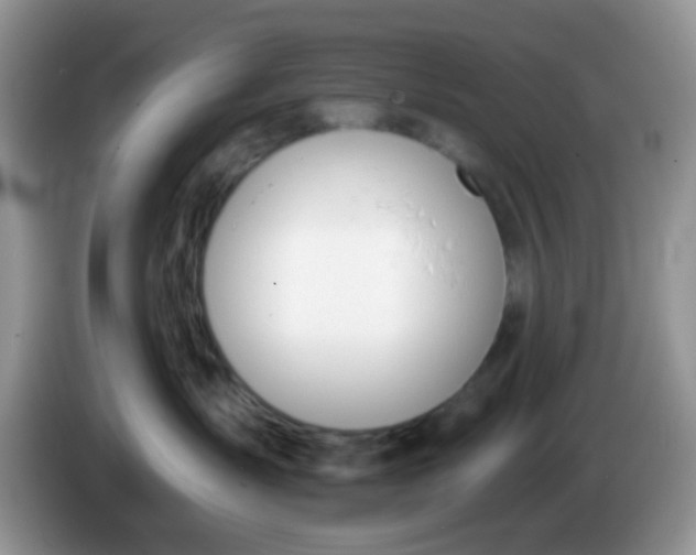 X0000086250431200704121955
