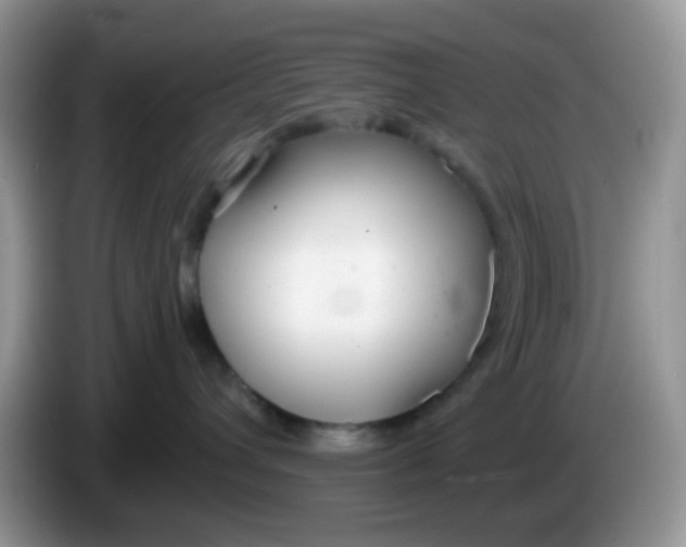 X0000086250432200704121955