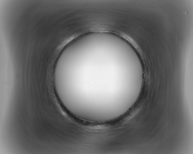 X0000086250433200704121955
