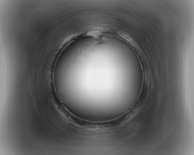 X0000086250434200704121955