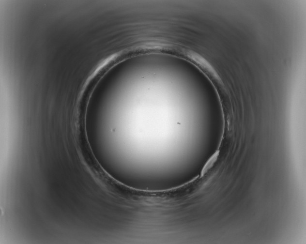 X0000086250436200704121955