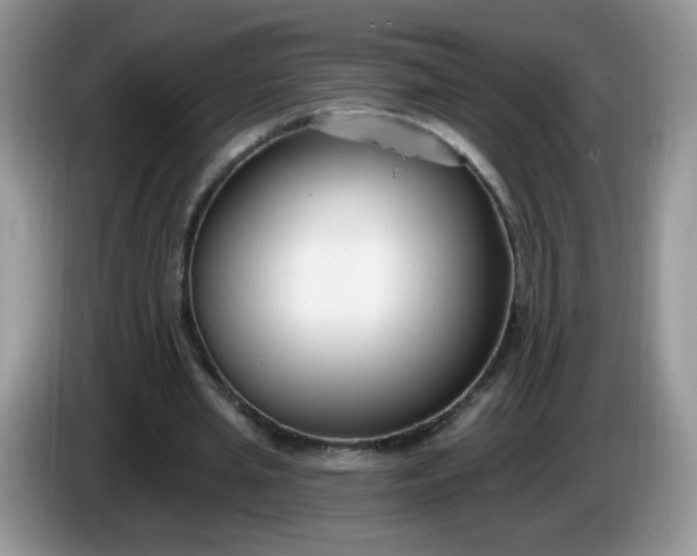 X0000086250437200704121955