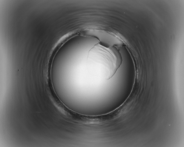 X0000086250438200704121955