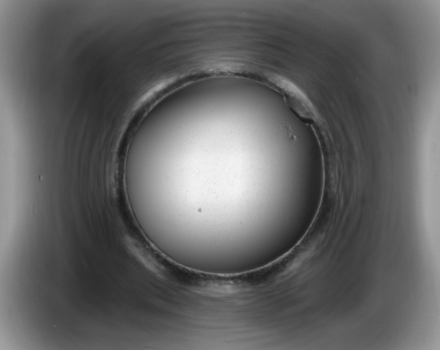 X0000086250439200704121955