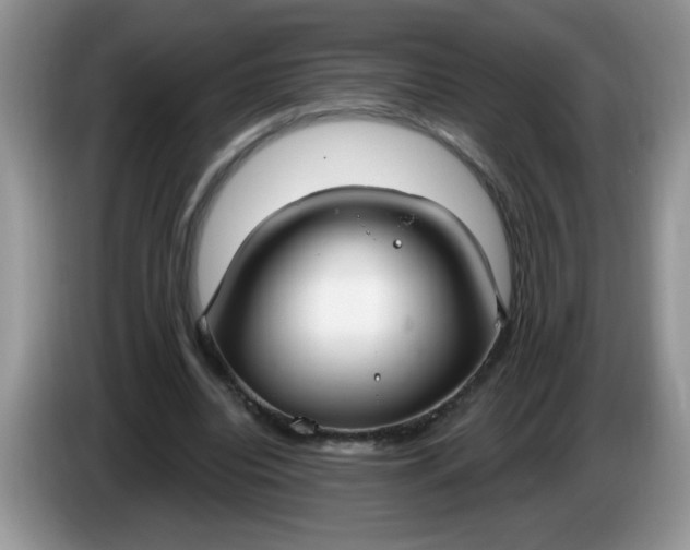 X0000086250440200704121955