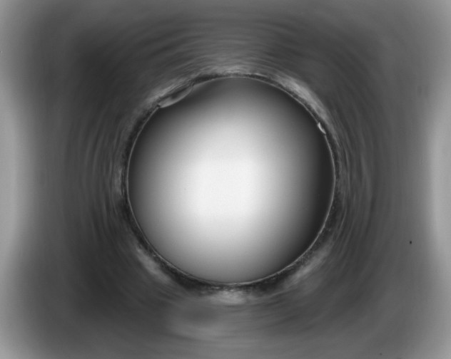 X0000086250441200704121955