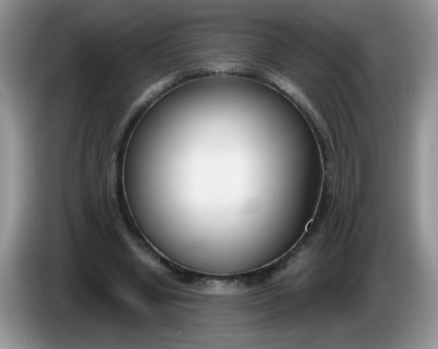 X0000086250442200704121955