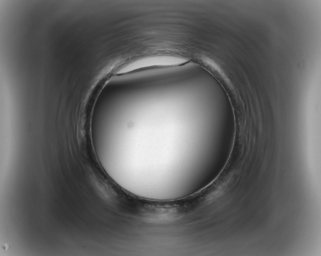 X0000086250443200704121955