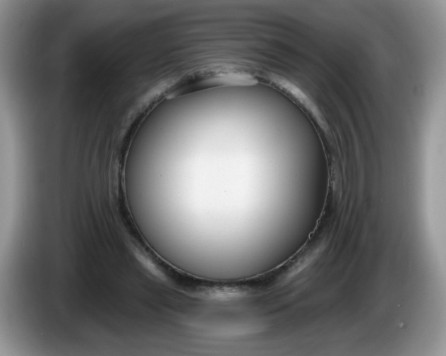 X0000086250445200704121955