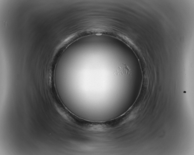 X0000086250446200704121955