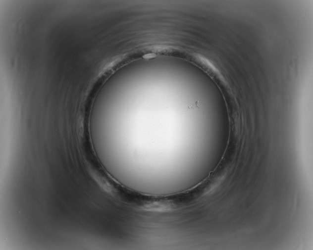 X0000086250447200704121955