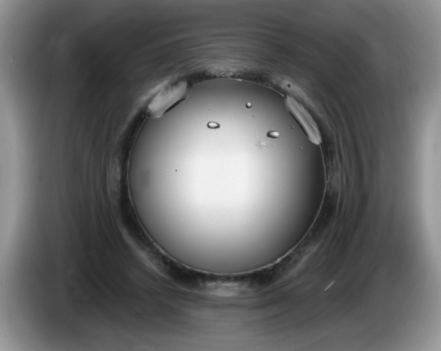 X0000086250448200704121955