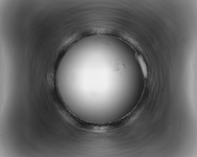 X0000086250450200704121955