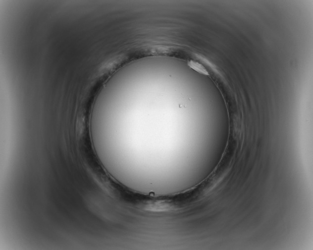 X0000086250451200704121955