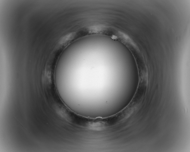 X0000086250452200704121955