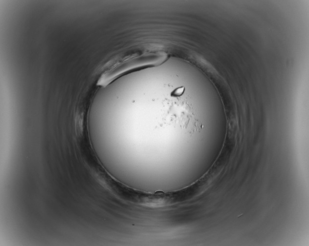 X0000086250454200704121955