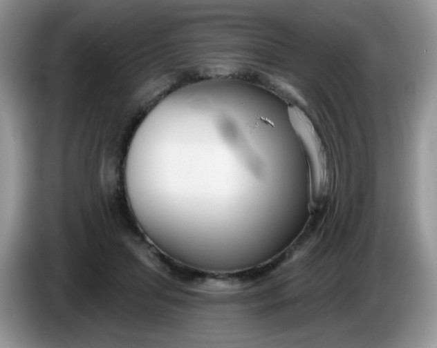 X0000086250455200704121955