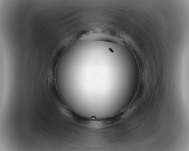 X0000086250457200704121955