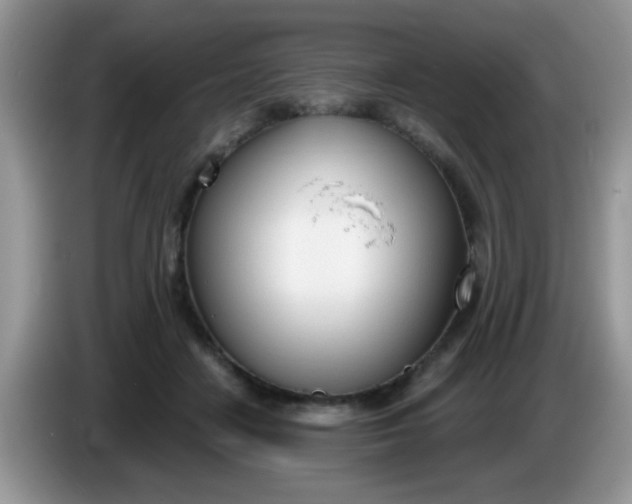 X0000086250458200704121955