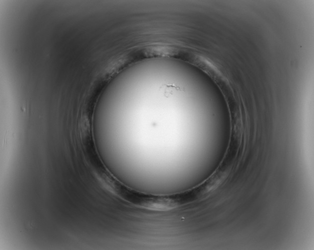 X0000086250459200704121955