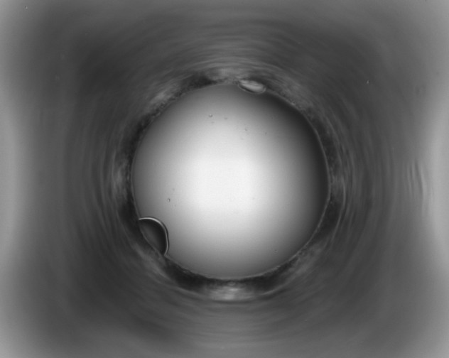 X0000086250460200704121955