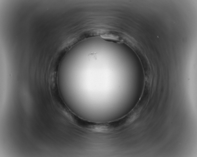 X0000086250462200704121955