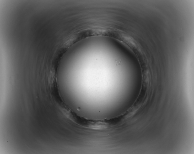 X0000086250463200704121955