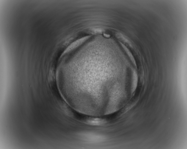 X0000086250467200704121955