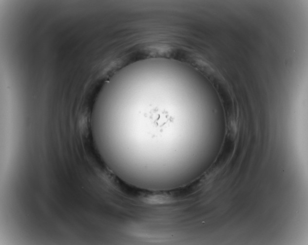 X0000086250468200704121955