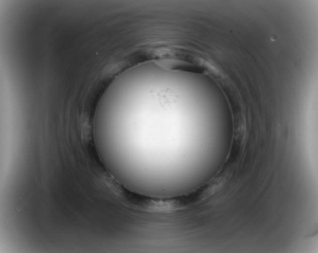 X0000086250469200704121955