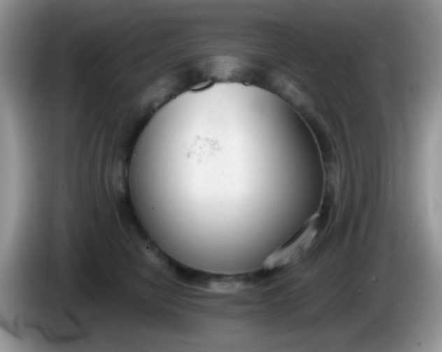 X0000086250470200704121955