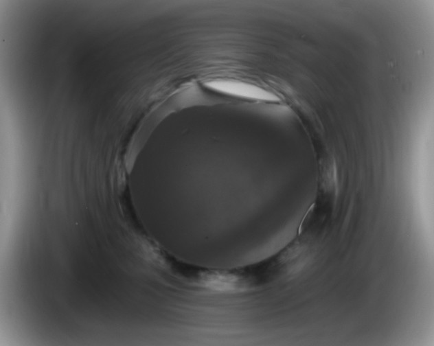 X0000086250471200704121955