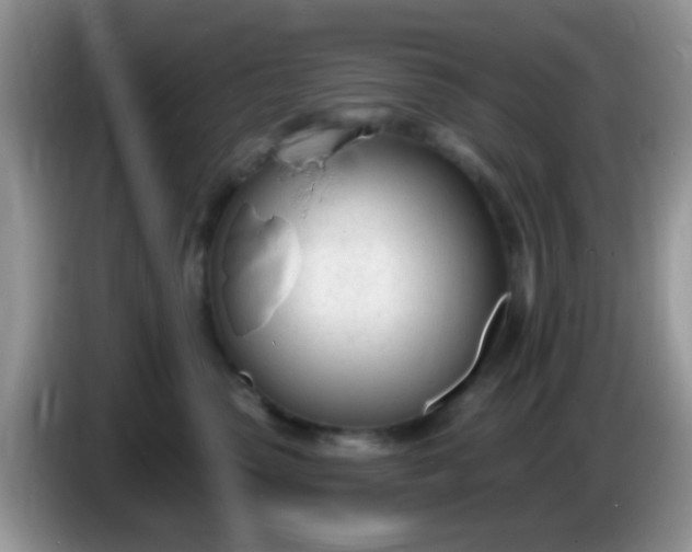 X0000086250475200704121955