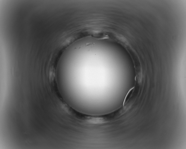 X0000086250476200704121955