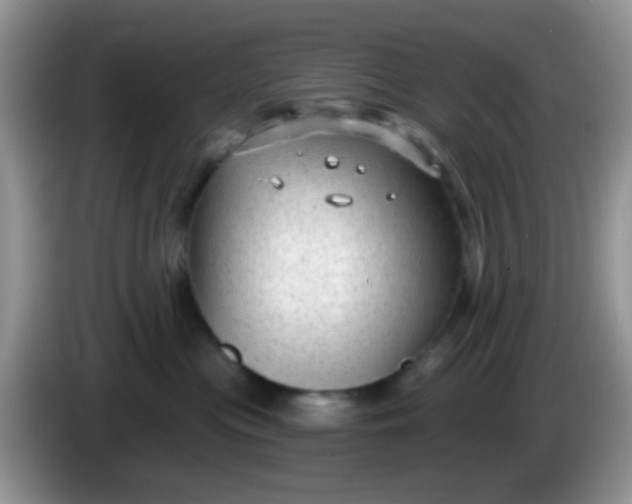 X0000086250477200704121955