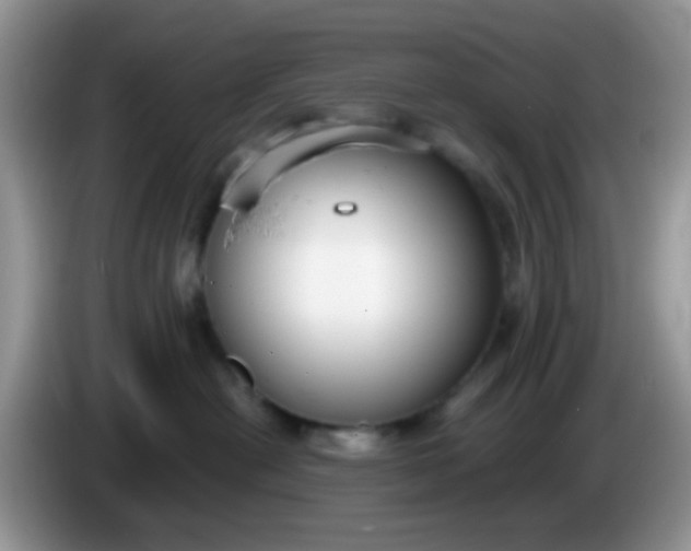 X0000086250478200704121955