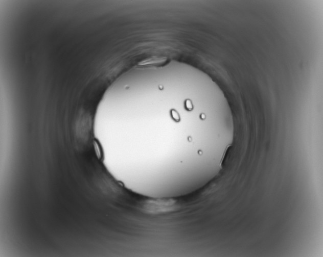 X0000086250480200704121955