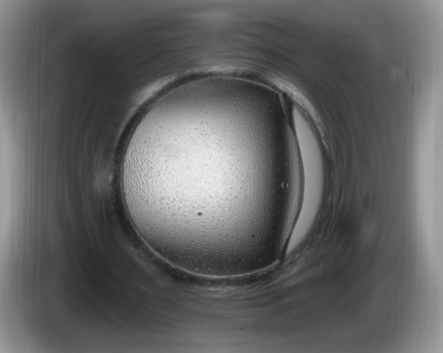 X0000086250483200704121954