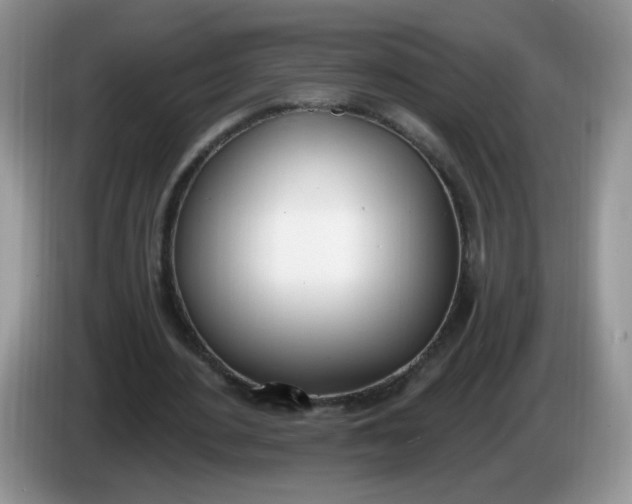 X0000086250484200704121954