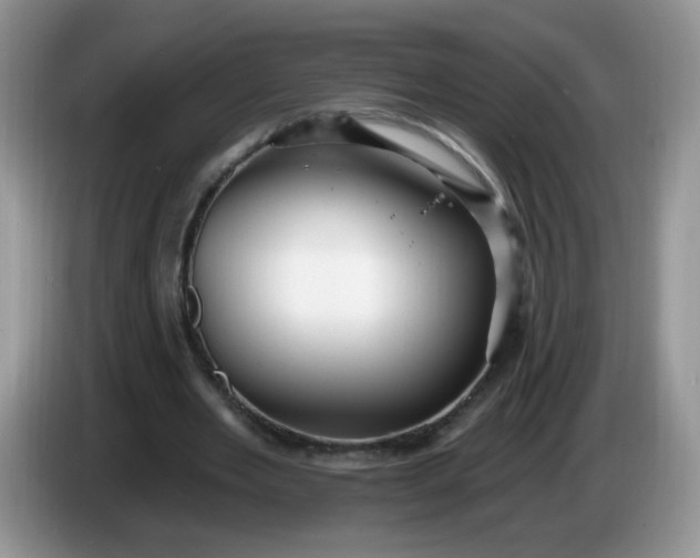 X0000086250485200704121954