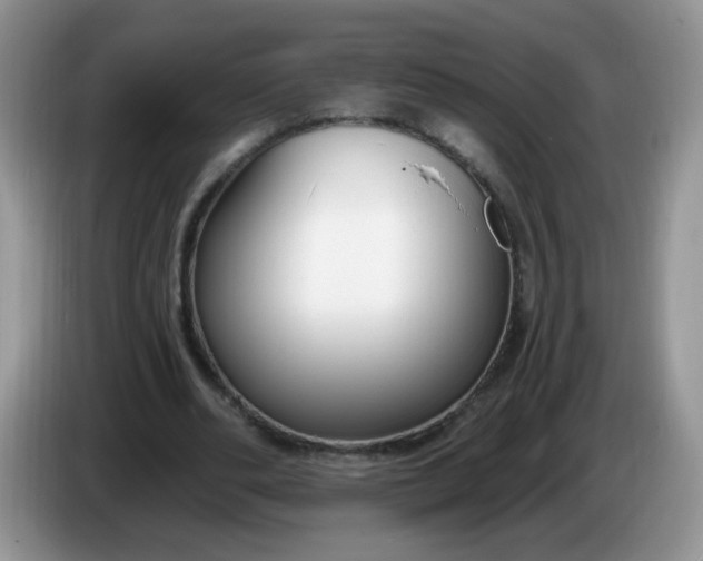 X0000086250486200704121954