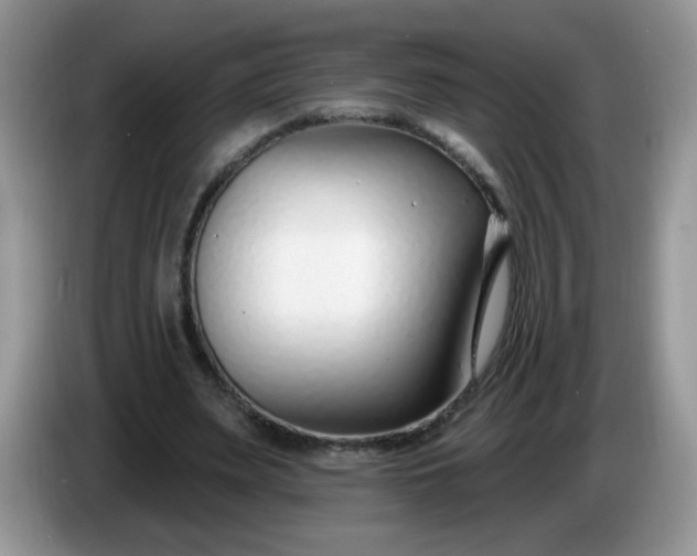 X0000086250487200704121954