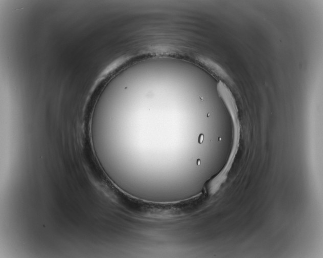 X0000086250488200704121954