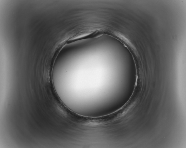 X0000086250489200704121954