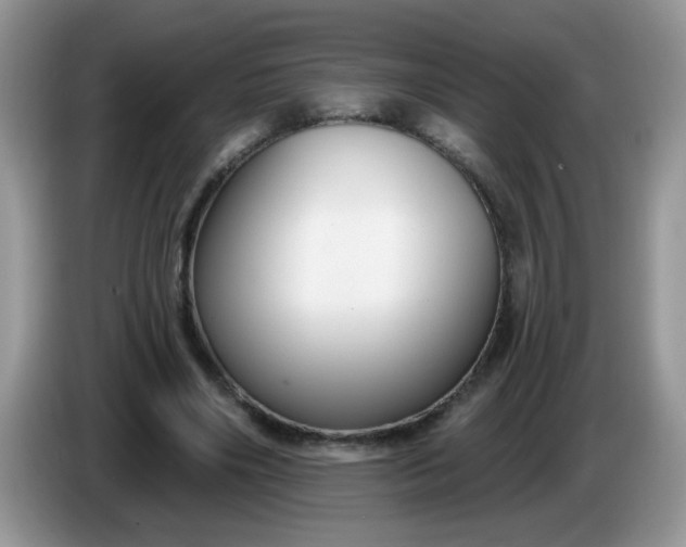 X0000086250490200704121954