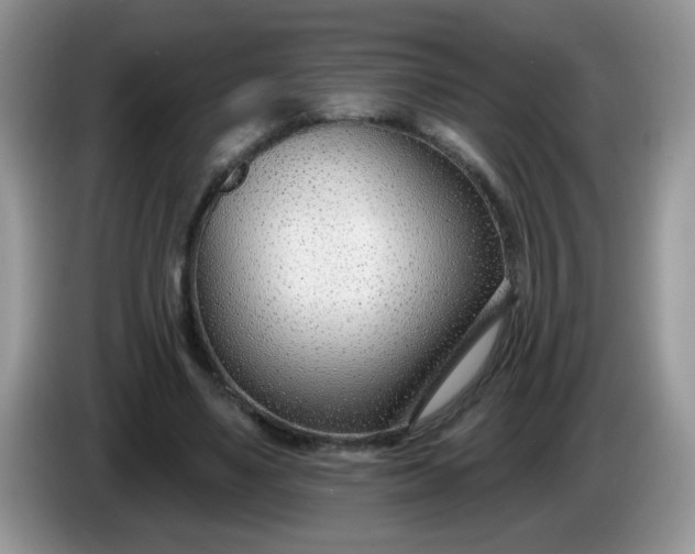 X0000086250491200704121954