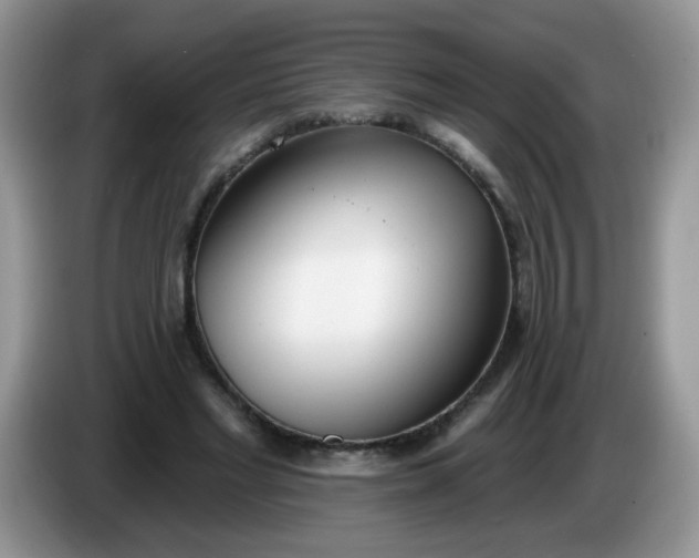 X0000086250493200704121954