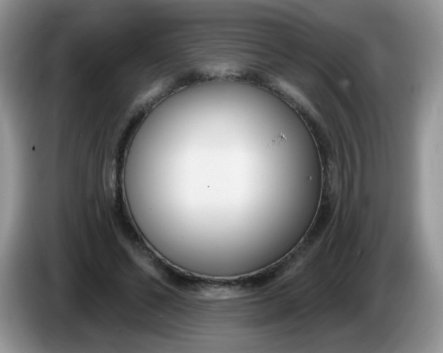 X0000086250494200704121954