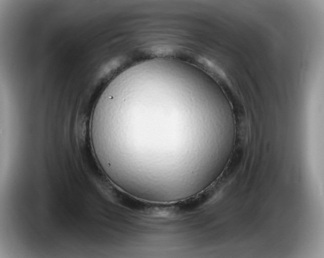 X0000086250495200704121954