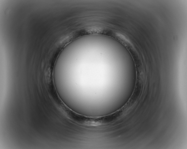 X0000086250498200704121954